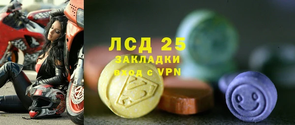 стаф Михайлов