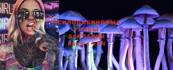 стаф Михайлов