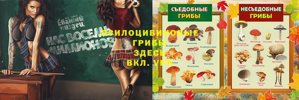 MDMA Михайловск