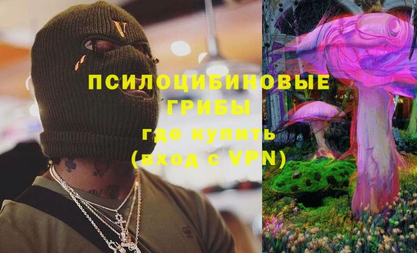 стаф Михайлов