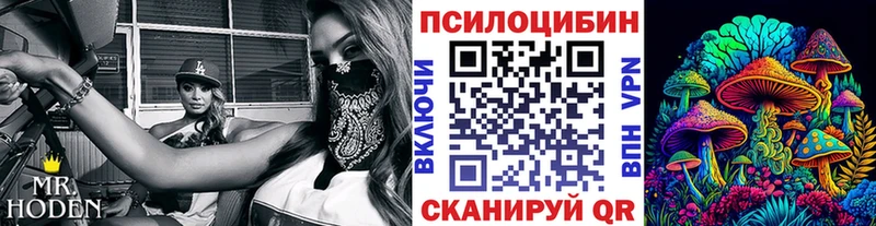 Галлюциногенные грибы GOLDEN TEACHER  Ачхой-Мартан 